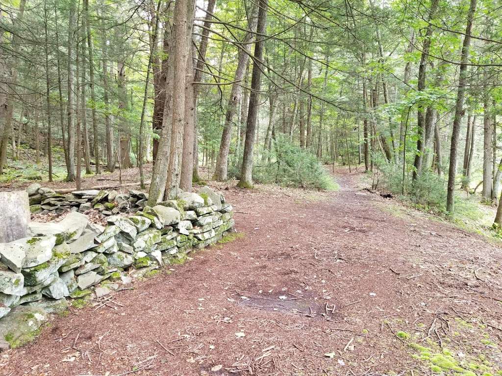 Lower Mongaup Cemetery | Sparrow Bush, NY 12780, USA