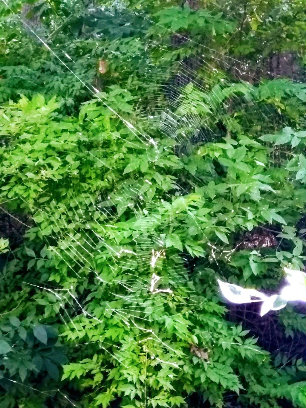 Kaw Field | 11598-11300 East Park Street, Sugar Creek, MO 64054, USA Kaw Field | 11598-11300 East Park Street, Sugar Creek, MO 64054, USA