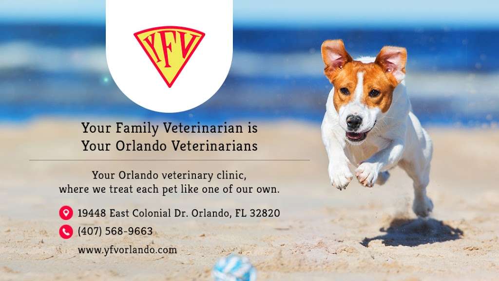 Your Family Veterinarian | 19448 E Colonial Dr, Orlando, FL 32820, USA | Phone: (407) 568-9663