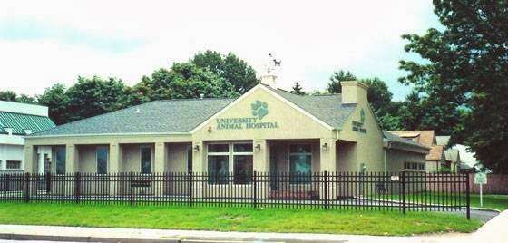 University Animal Hospital | 1138 Hempstead Turnpike, Uniondale, NY 11553, USA | Phone: (516) 481-1332