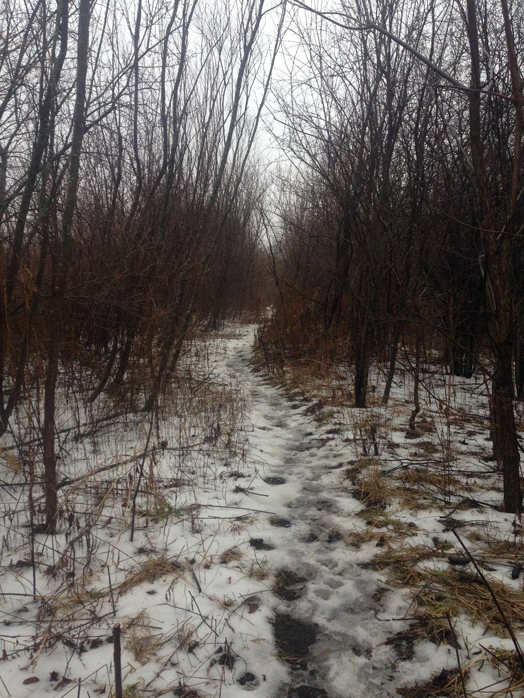 Hidden Lake Forest Preserve (Public Park Washroom Facility) | Lombard, IL 60148