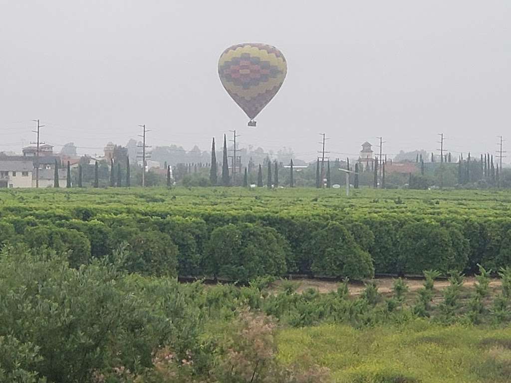 Sunrise Balloons | 34567 Rancho California Rd, Temecula, CA 92591, USA | Phone: (800) 548-9912