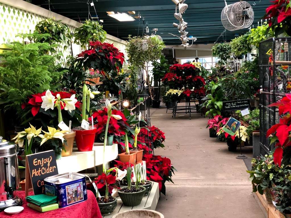 Potomac Petals & Plants | 9545 River Rd, Potomac, MD 20854, USA | Phone: (301) 765-7670