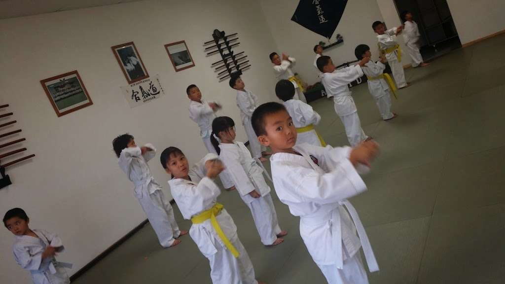 Academics Aikido | 10515 W McFadden Ave #105, Garden Grove, CA 92843 | Phone: (714) 725-0477