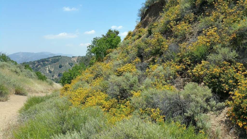 East & Rice Canyons | 3915, 23801 The Old Rd, Newhall, CA 91321, USA | Phone: (310) 459-7049