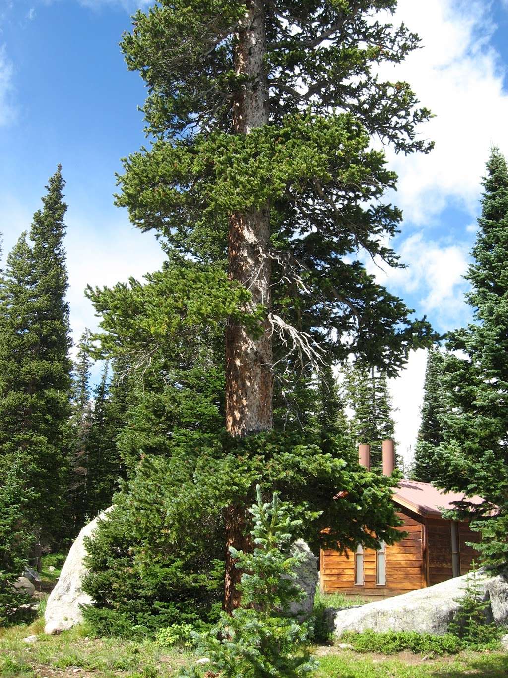 Long Lake Trail Head | Long Lake Rd, Ward, CO 80481, USA