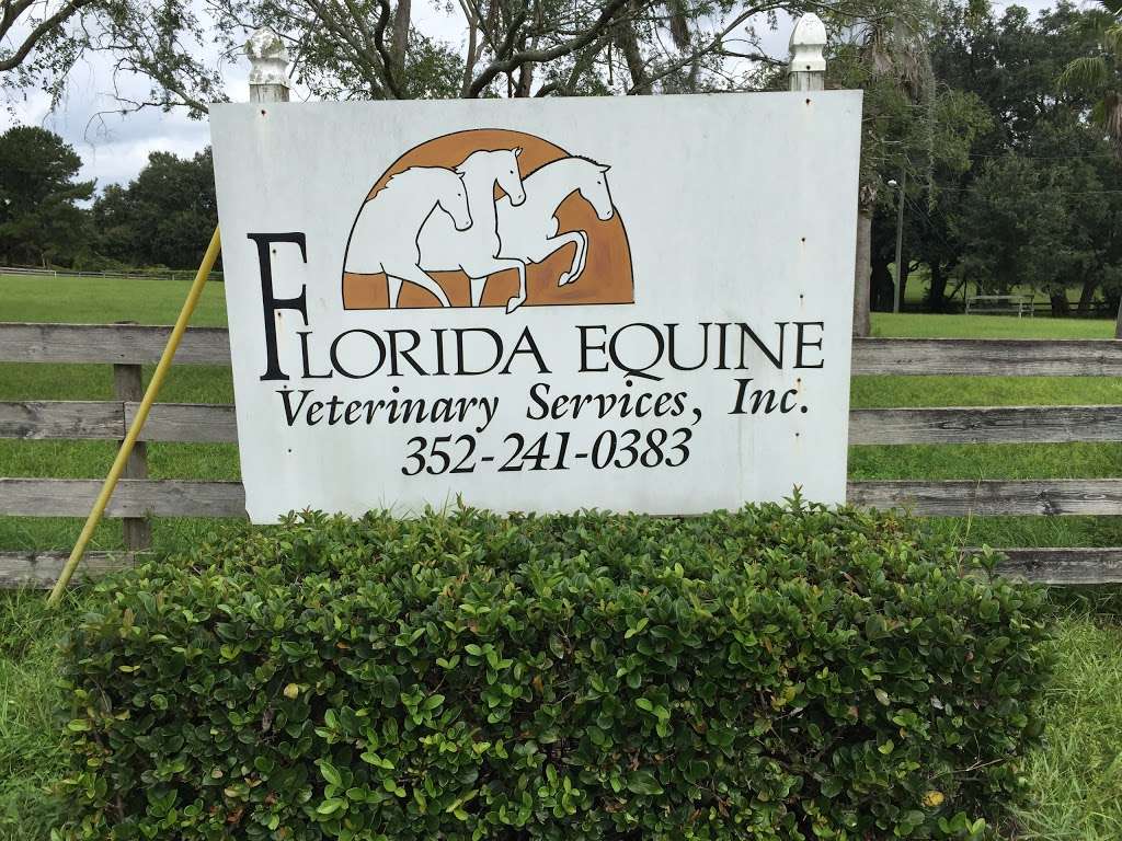 Florida Equine Veterinary Services | 19801 County Rd 561, Clermont, FL 34715, USA | Phone: (352) 241-0383
