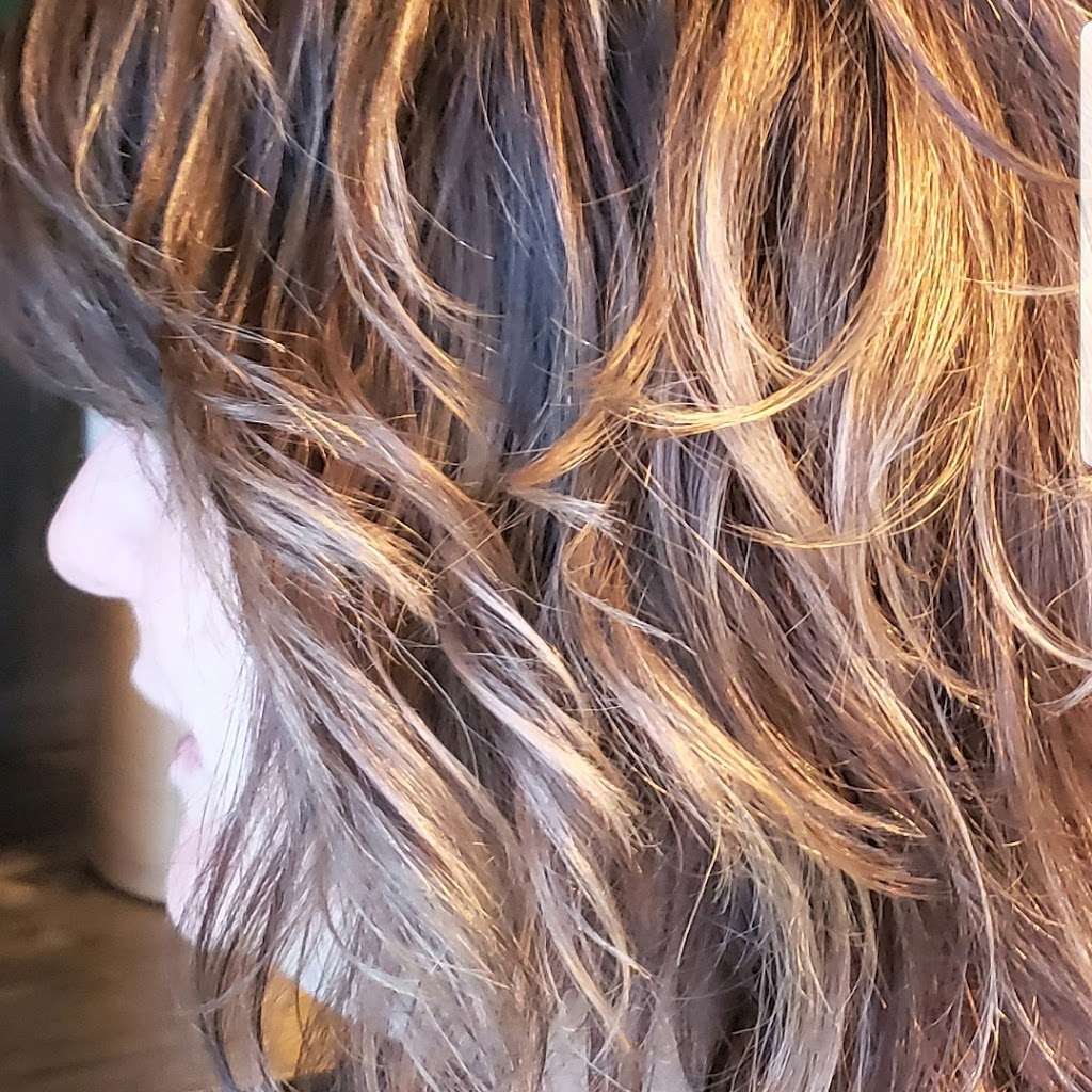 HAIR By CHANDRA at Blue Lion Salon Studios | 4057 Riley Fuzzel Rd #700, Spring, TX 77386 | Phone: (832) 347-4855