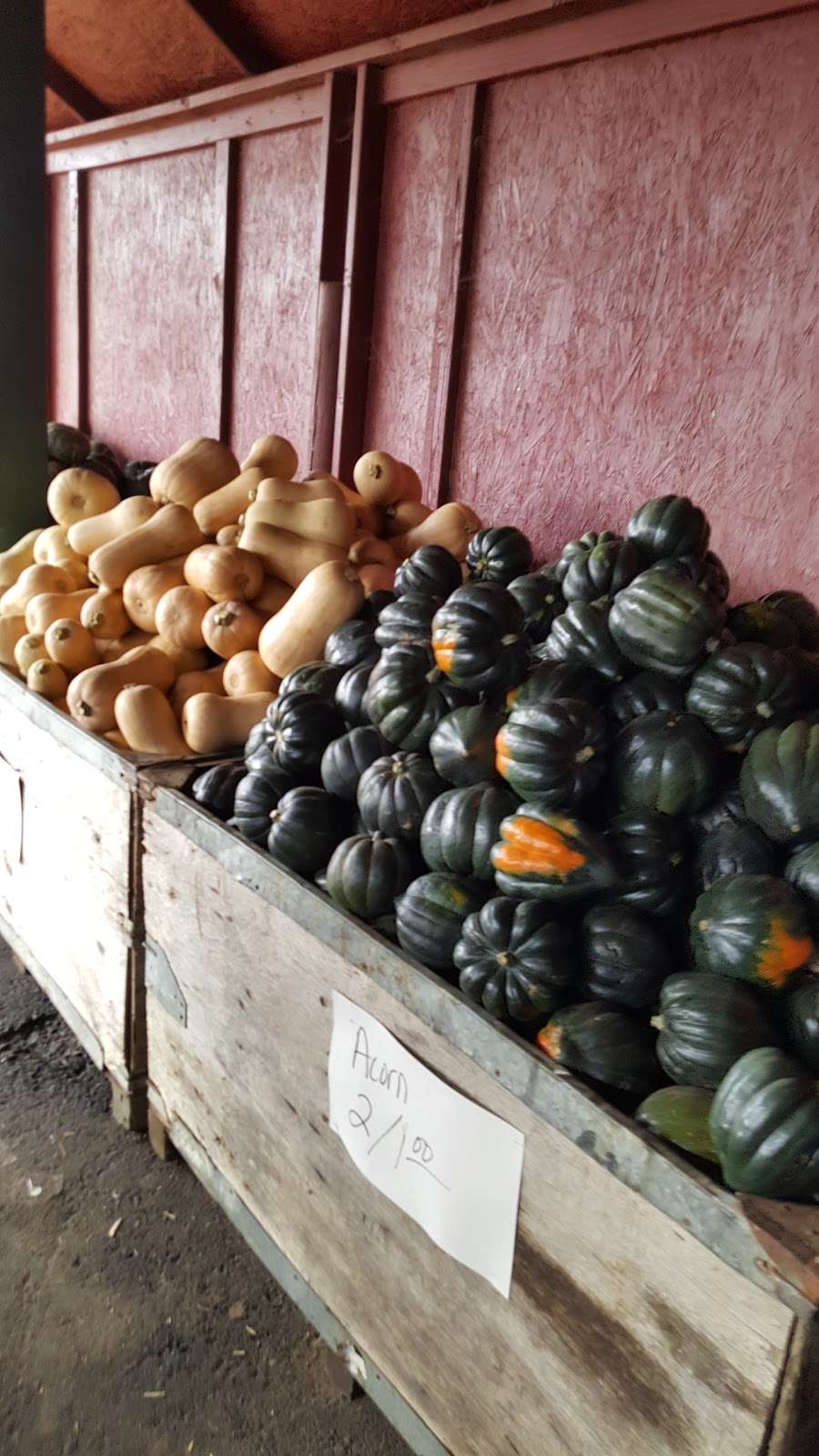 Larrys Produce | 4606 Suisun Valley Rd, Fairfield, CA 94534, USA | Phone: (707) 864-8068