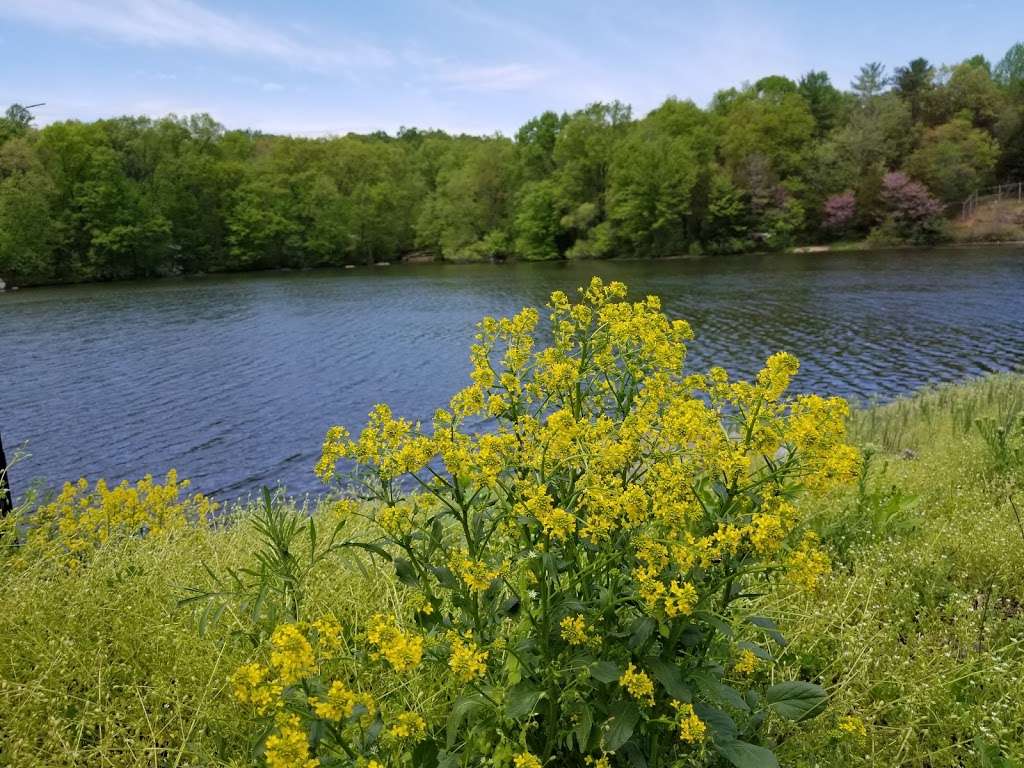 Pinchot Park Conewago Day Use Area | Lakeside Trail, Wellsville, PA 17365, USA