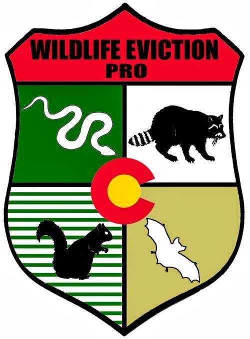 Eco Wildlife Eviction Pro | 14 Pearl St, Denver, CO 80203, USA | Phone: (303) 264-9450