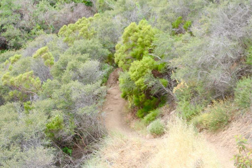 Sandstone Peak Trailhead Parking | 12860-, 12896 Yerba Buena Rd, Malibu, CA 90265, USA