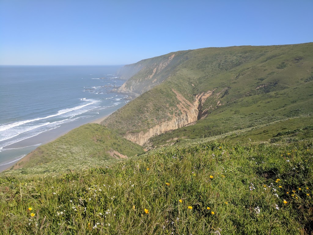 Tomales Point Trailhead | Tomales Point Trail, Inverness, CA 94937, USA | Phone: (415) 464-5100