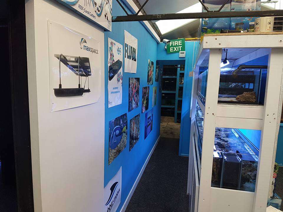 Ocean Marine Aquatics | Unit 14,, Culver Garden Centre,, Crews Hill, Enfield, Middlesex EN2 0DS, UK | Phone: 020 8363 5534