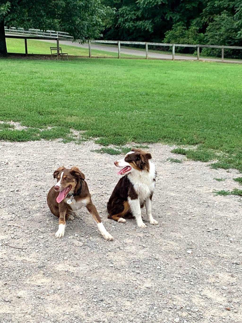 Shelby Dog Park | Shelby Ave & S. 20th Street, Nashville, TN 37206, USA | Phone: (615) 862-8400