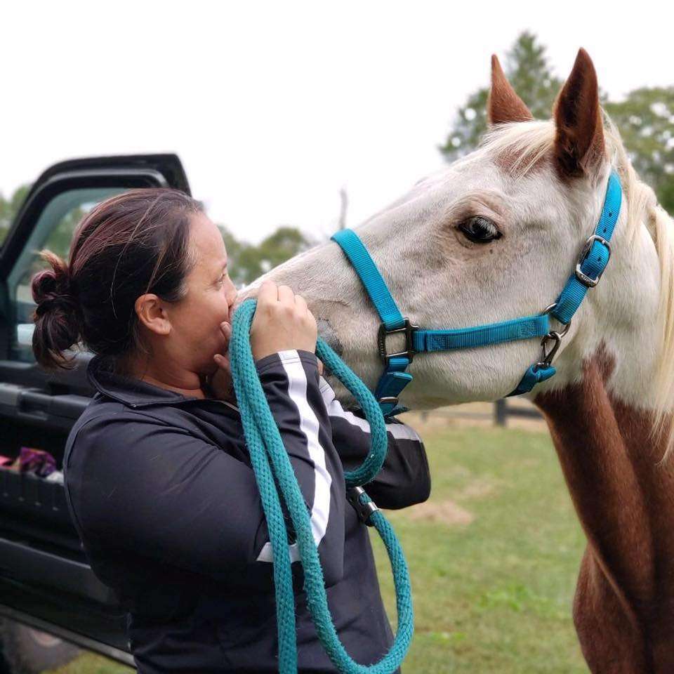 Dover Equine Veterinary | 248 Fontaine Park suite c, King William, VA 23086, USA | Phone: (804) 333-0333