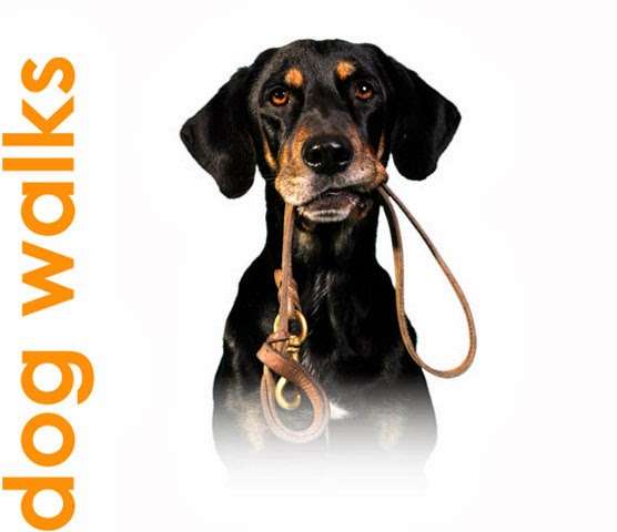 TailBlazers Pet Care | Changebridge Rd, Montville, NJ 07045, USA | Phone: (973) 652-7101