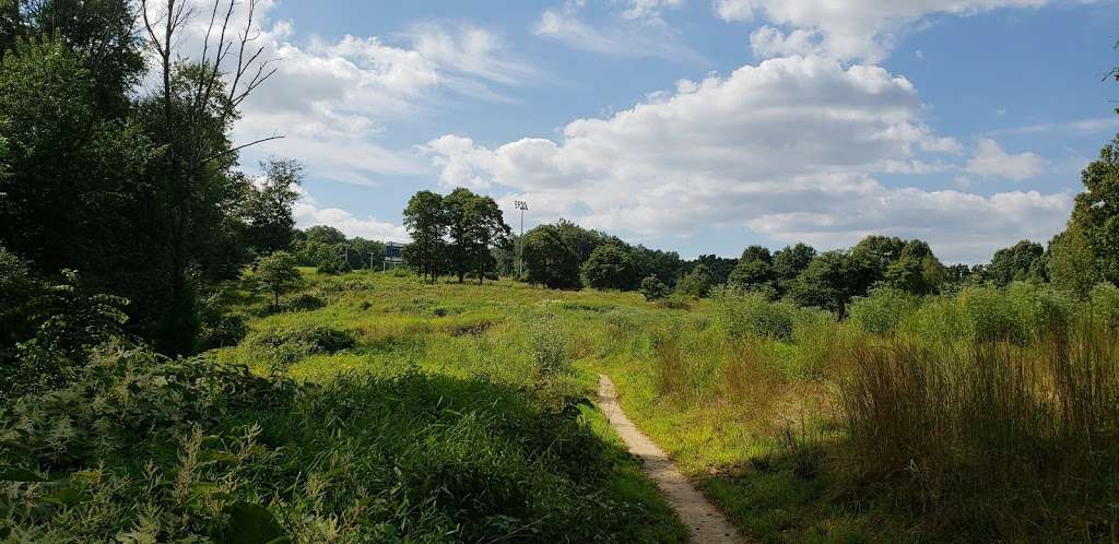 Houston Meadow | Yellow Trail, Philadelphia, PA 19128, USA