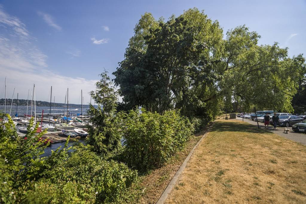 Leschi Park | 201 Lakeside Ave S, Seattle, WA 98122, USA | Phone: (206) 684-4075