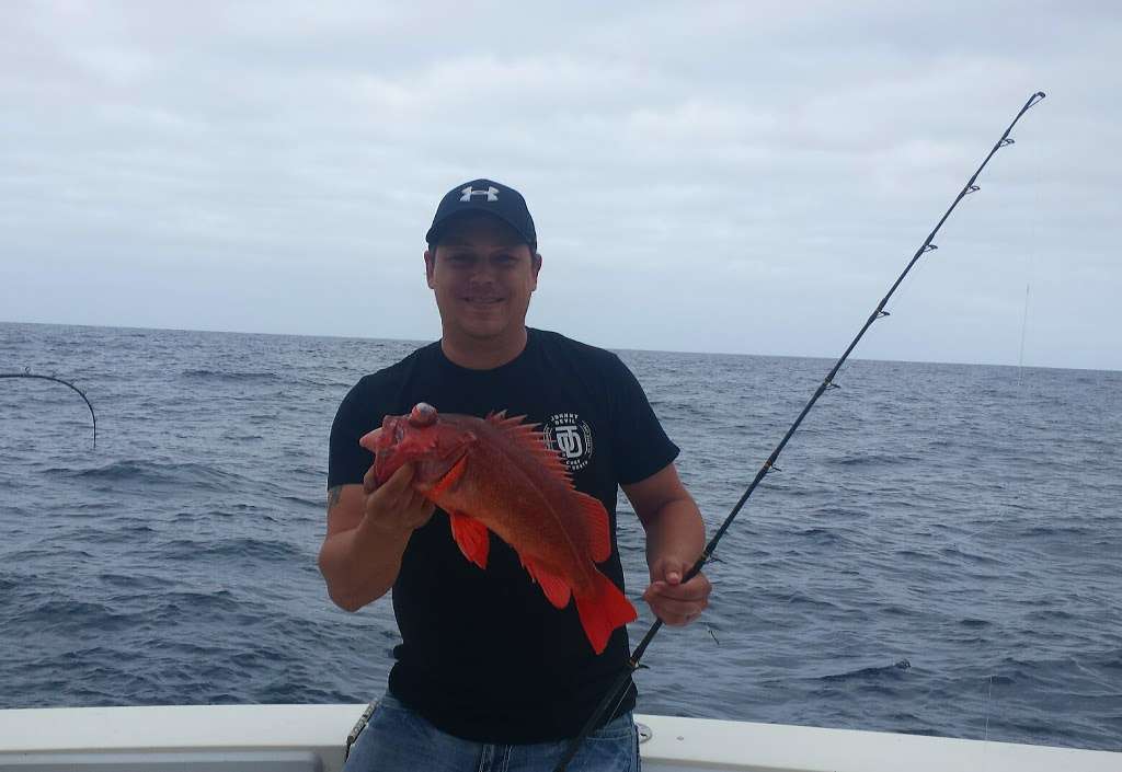 Impulse Sportfishing Charters | 7909, 2580 Ingraham St, San Diego, CA 92109, USA | Phone: (619) 226-2929