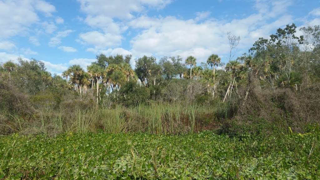 Juniper Springs Recreation Area | Florida, USA