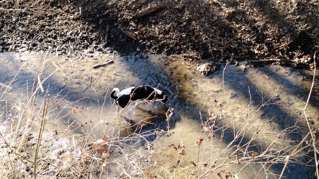 Kill Creek Streamway Dog Park | 33460 W 95th St, De Soto, KS 66018, USA