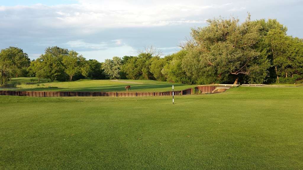 Fox Run Golf Links | 333 Plum Grove Rd, Elk Grove Village, IL 60007, USA | Phone: (847) 228-3544