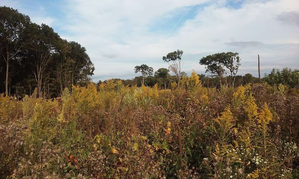 Lake County Forest Preserves | 21950 N Riverwoods Rd, Riverwoods, IL 60015 | Phone: (847) 968-3321