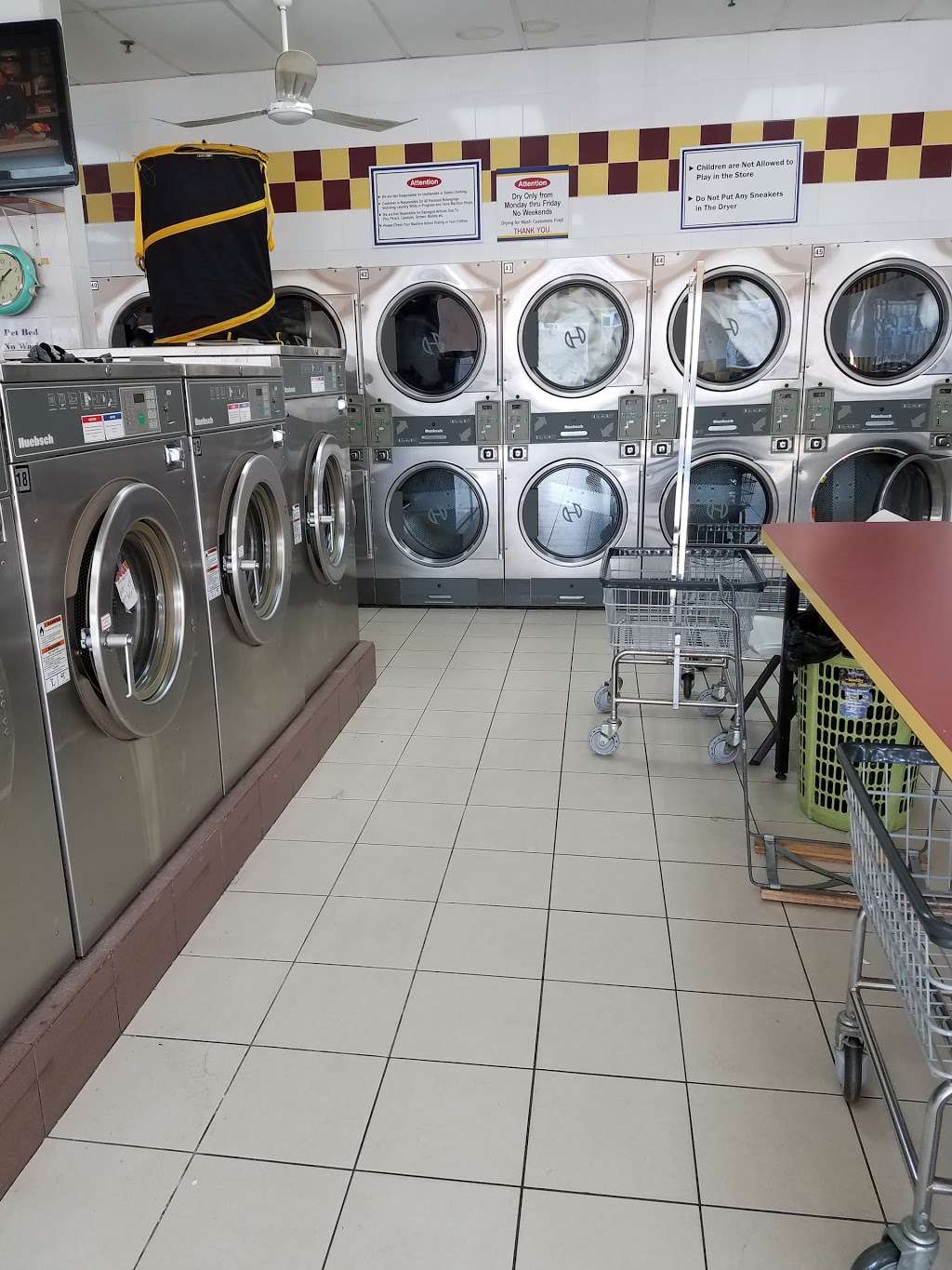 Blue Star Laundromat Inc | 55 Gunton Pl, Staten Island, NY 10309, USA | Phone: (718) 984-4213