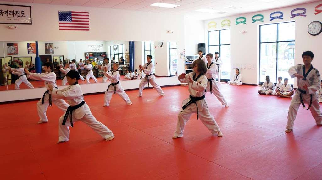 Tiger World Class Tae Kwon Do & Family Martial Arts | United States, Maryland, Ellicott City, Resort Road, Suite 104 | Phone: (443) 377-0050