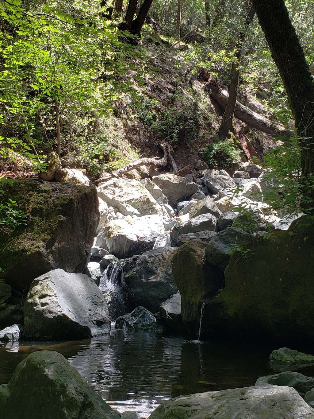 Walk at Sugarloaf Ridge State Park | 2605 Adobe Canyon Rd, Kenwood, CA 95452, USA | Phone: (707) 833-6288