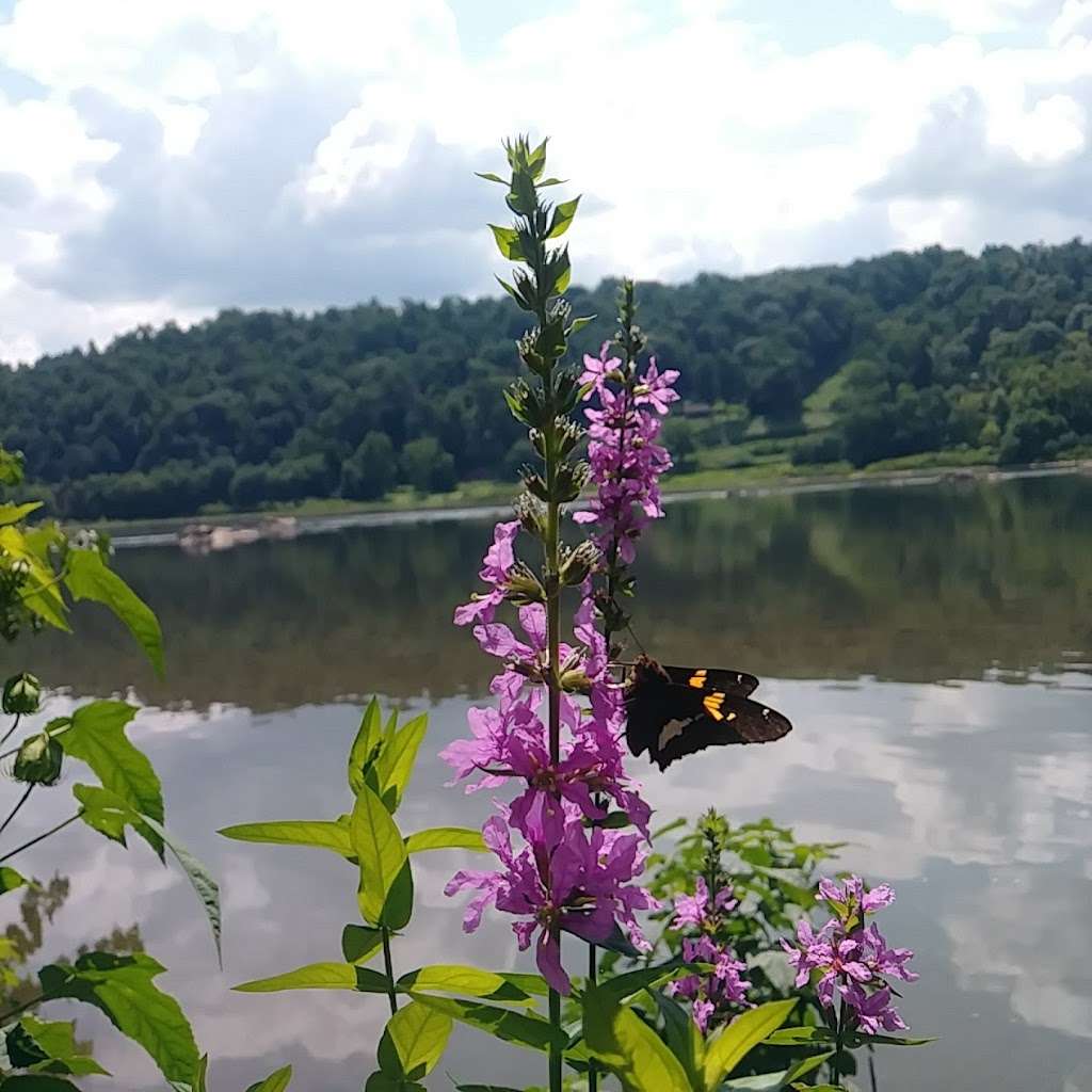 Rivertrail Pavilion Marietta Pa | NW River Trail, Marietta, PA 17547, USA