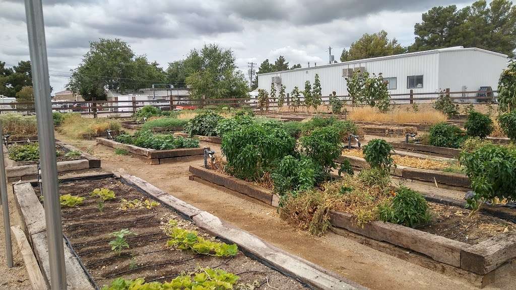 San Miguel Community Garden | 3939 Bradley Rd, Las Vegas, NV 89130, USA