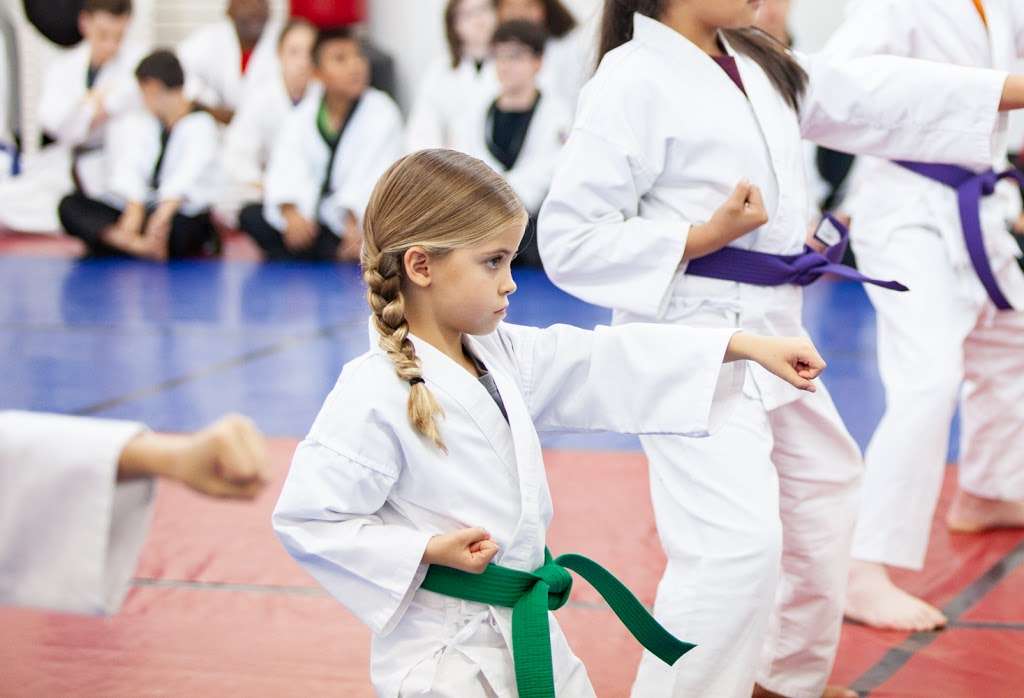 Dallas Academy of Martial Arts | 9644 Plano Rd, Dallas, TX 75238, USA | Phone: (214) 343-3000