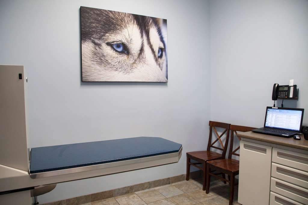 Park Ridge Animal Hospital | 236 W Grand Ave, Park Ridge, NJ 07656 | Phone: (201) 391-9494