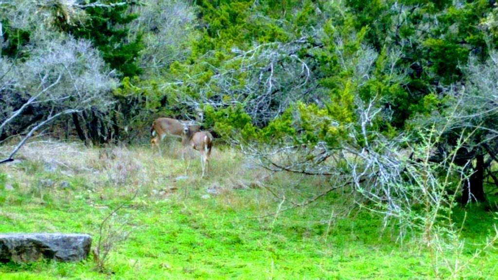 Mud Creek Park | 16875 Jones Maltsberger Rd, San Antonio, TX 78232, USA | Phone: (201) 207-7275