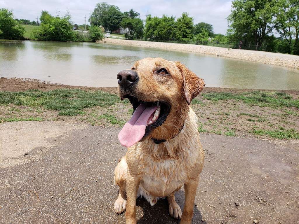 Heritage Park Dog Off-Leash Area | 16050 S Pflumm Rd, Olathe, KS 66062, USA | Phone: (913) 831-3355