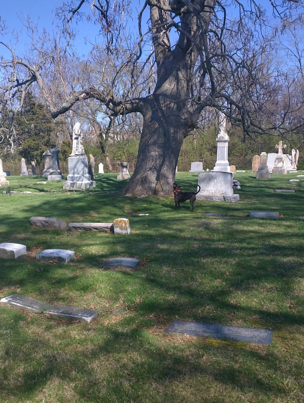 St Joseph Cemetery & Mausoleum | 3819 Eighth St W, Cincinnati, OH 45205, USA | Phone: (513) 921-3050