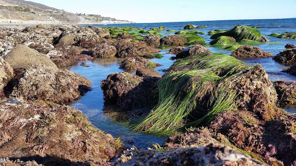 Corral State Beach | Malibu, CA 90265, USA