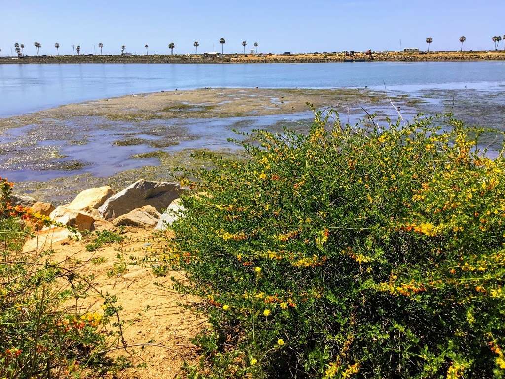 Agua Hedionda Lagoon Garfield Street Trailhead | Carlsbad, CA 92008