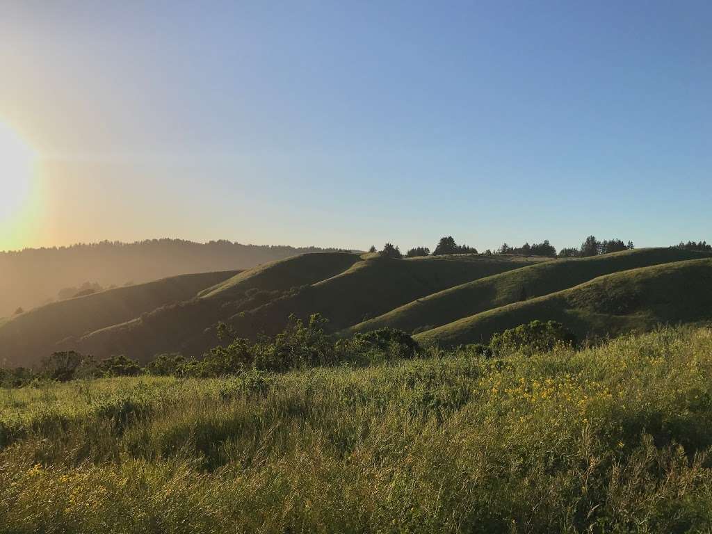 Anniversary Trail Parking and Picnic Tables | Anniversary Trail, Portola Valley, CA 94028, USA