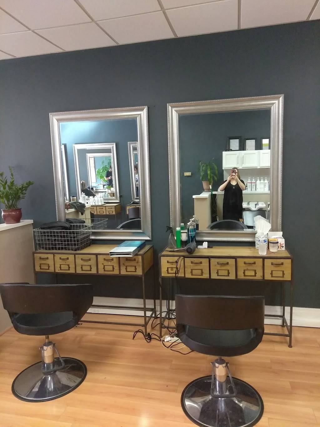 Blackbird Salon | 1008 Lafayette St, Richmond, VA 23221, USA | Phone: (804) 353-2473