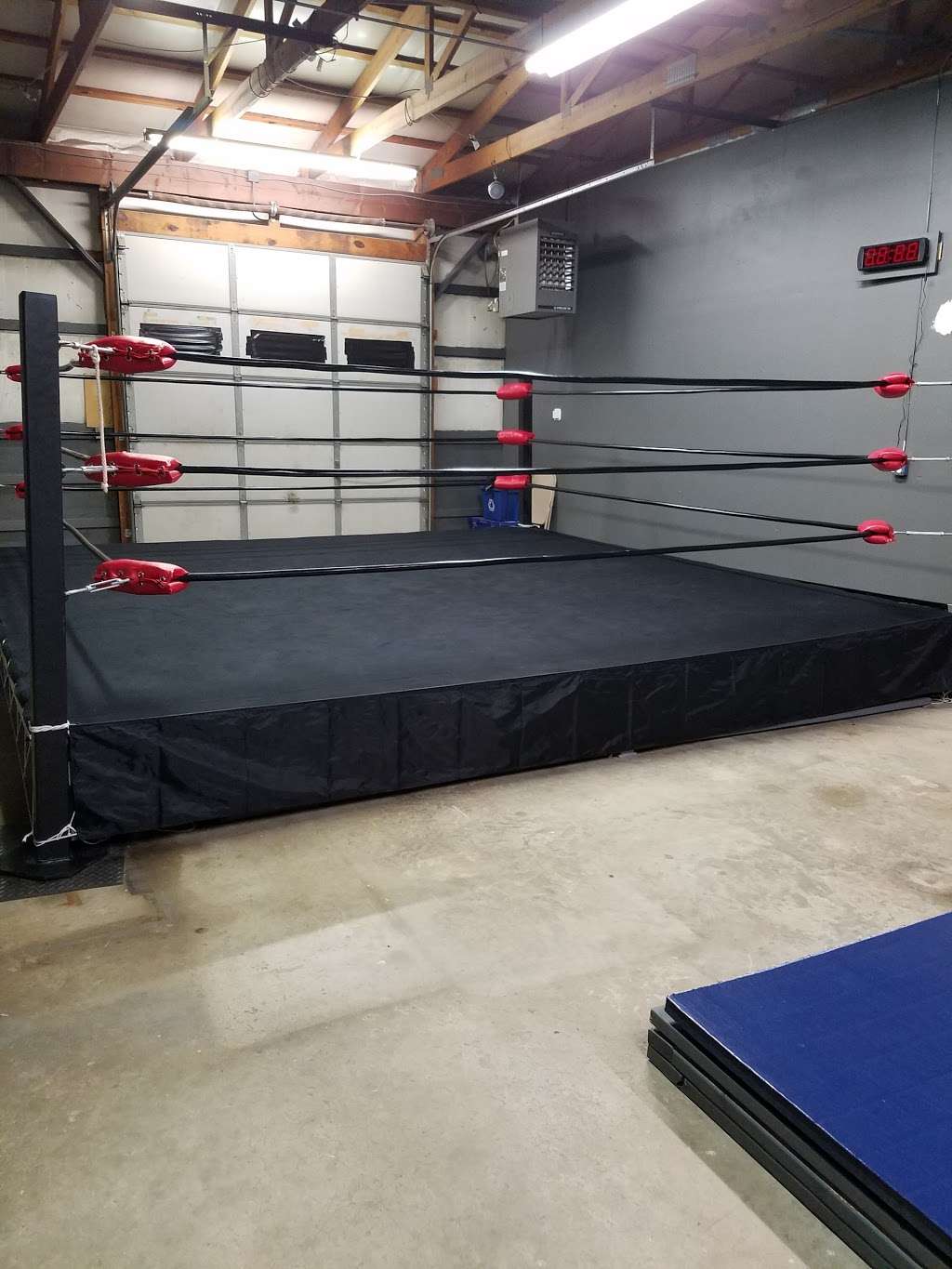 Asylum Pro Wrestling Academy | 950 Ridge Road #C16, Claymont, DE 19703 | Phone: (267) 593-2061