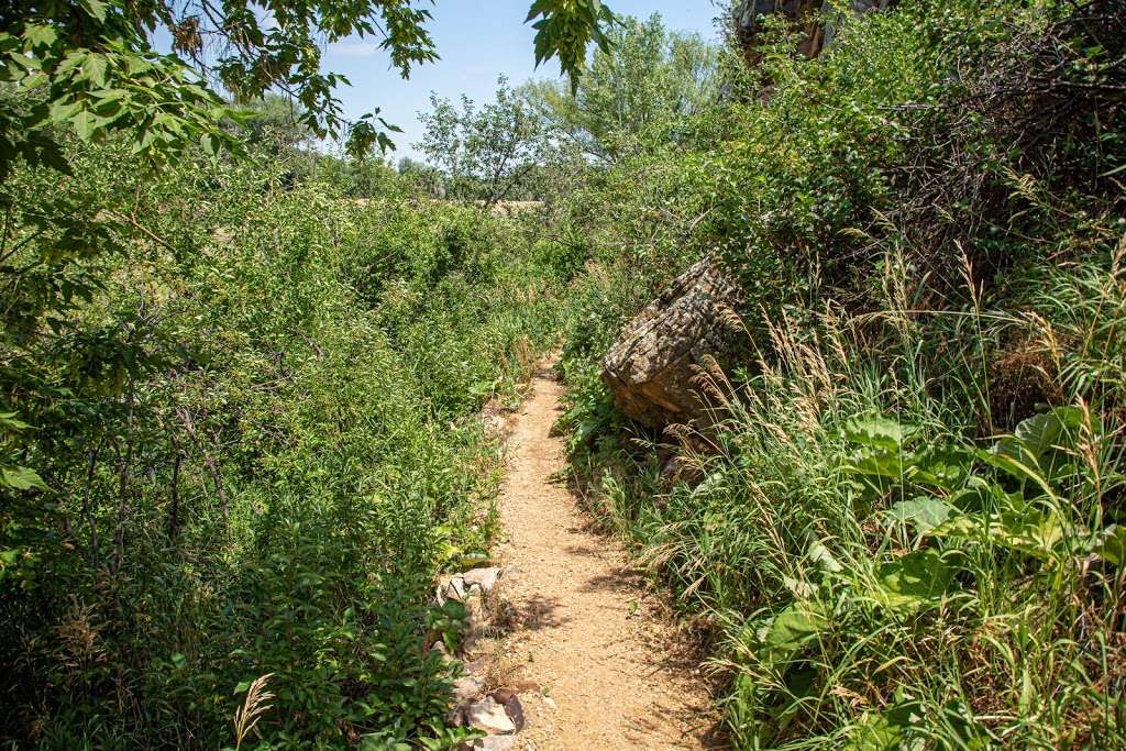 Hidden Hogback Trail | 1015 Rossum Dr, Loveland, CO 80537, USA