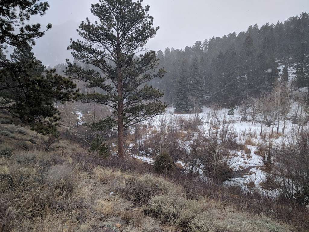 Recovery Room | 293 Longs Trail, Estes Park, CO 80517, USA