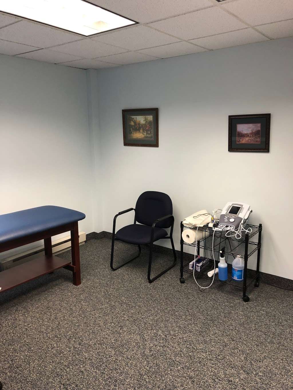 North Penn Physical Therapy | 1717 Swede Rd Ste 114, Blue Bell, PA 19422, USA | Phone: (215) 876-6933