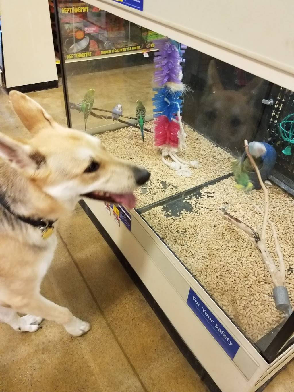PetSmart | 420 Home Dr, Pittsburgh, PA 15275, USA | Phone: (412) 490-0191