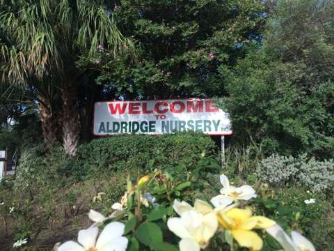 Aldridge Nursery, Inc | 10440 Jarratt Rd, Atascosa, TX 78002, USA | Phone: (210) 622-3491