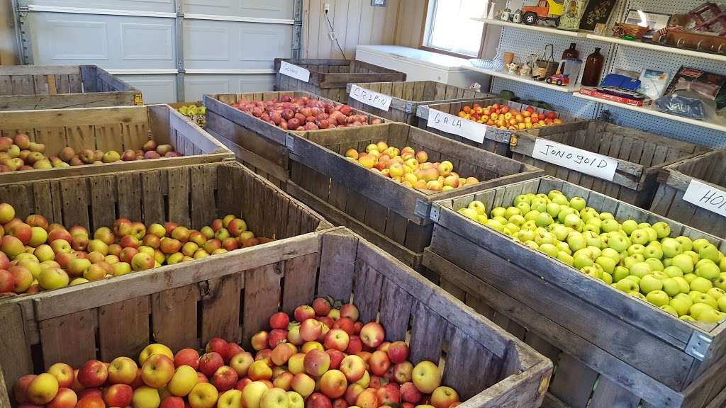 Roy’s Farm Market | 64 Old Hollow Rd, Sperryville, VA 22740, USA | Phone: (540) 987-8636 Roy’s Farm Market | 64 Old Hollow Rd, Sperryville, VA 22740, USA | Phone: (540) 987-8636
