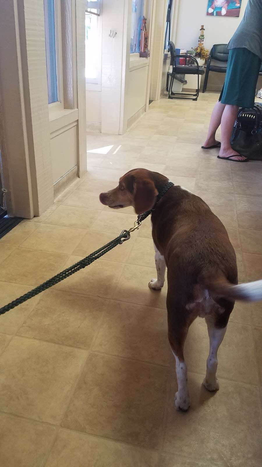 Animal Care Clinic 2650 Jamacha Road 159, El Cajon, CA 92019, USA